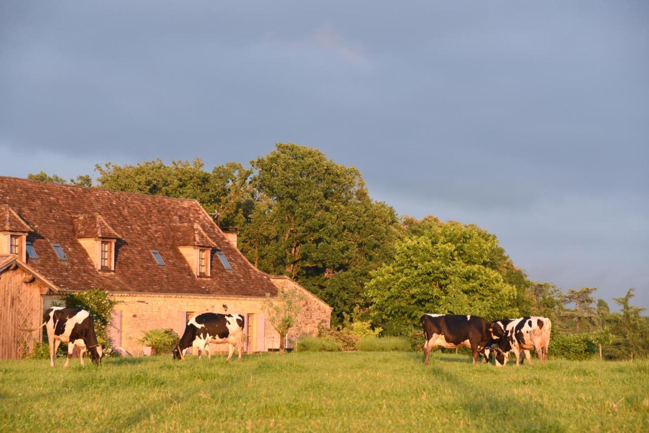 Chambre D'Hotes La Ferme De La Croix. Saint-Avit-Sénieur Εξωτερικό φωτογραφία